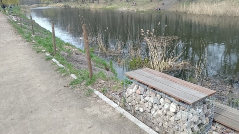 Bobry w akcji Nory pojawiają się w toruńskim Parku Miejskim. Ratusz prosi o uszanowanie