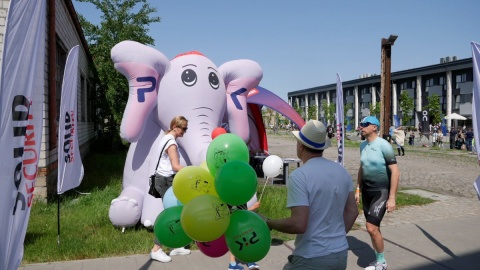 Pływali, biegali i jeździli na rowerach. Enea Żnin Triathlon w Cukrowni w Żninie [zdjęcia]