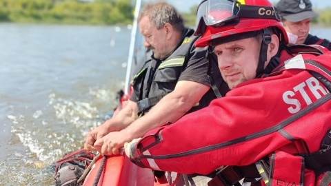 Krowa uciekła z pastwiska, porwał ją nurt Wisły. Akcja straży i toruńskiego WOPR [zdjęcia]