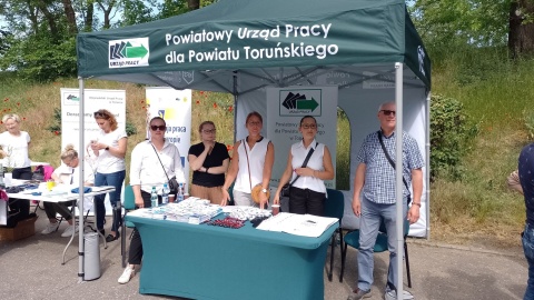 Medyczna, spożywcza, a może budowlana Różne branże na Festiwalu Zawodów w Toruniu [zdjęcia]