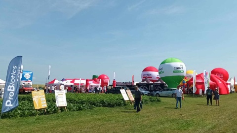 Pokaz potencjału rolnictwa w Minikowie. Na rolników czeka kilkaset odmian roślin i firm