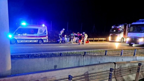 Tragiczny wypadek na autostradzie A1. Łoś stał na środku drogi. Kierowca nie zdołał go ominąć