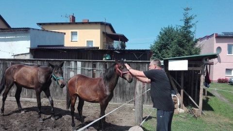 Parada koniarzy, sztuczki kaskaderów i zawody jeździeckie. W niedzielę piknik w Śliwicach