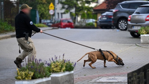 Na Pomorzu już czwarty dzień trwa obława na zabójcę 6-letniego chłopca z Gdyni