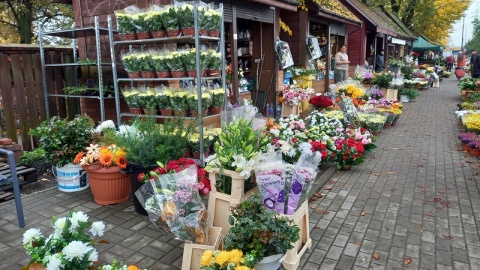 Sprzątanie grobów, zakupy, korki. Wokół cmentarzy zmieni się organizacja ruchu [mapki]