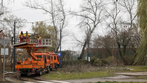 Potężnie wiało w całej Polsce. Na Kujawach i Pomorzu 150 strażackich interwencji