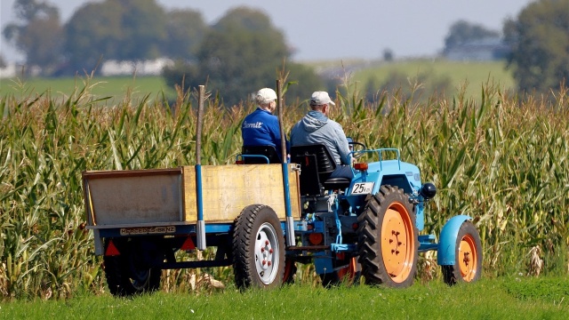 Rolnicy zyskają pomoc przy spłacie pożyczek. Komisja Europejska zatwierdziła polski program