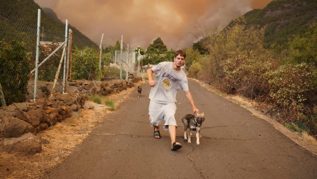 Ponad 7 tys. osób ewakuowanych na Teneryfie z powodu pożaru lasów [wideo]
