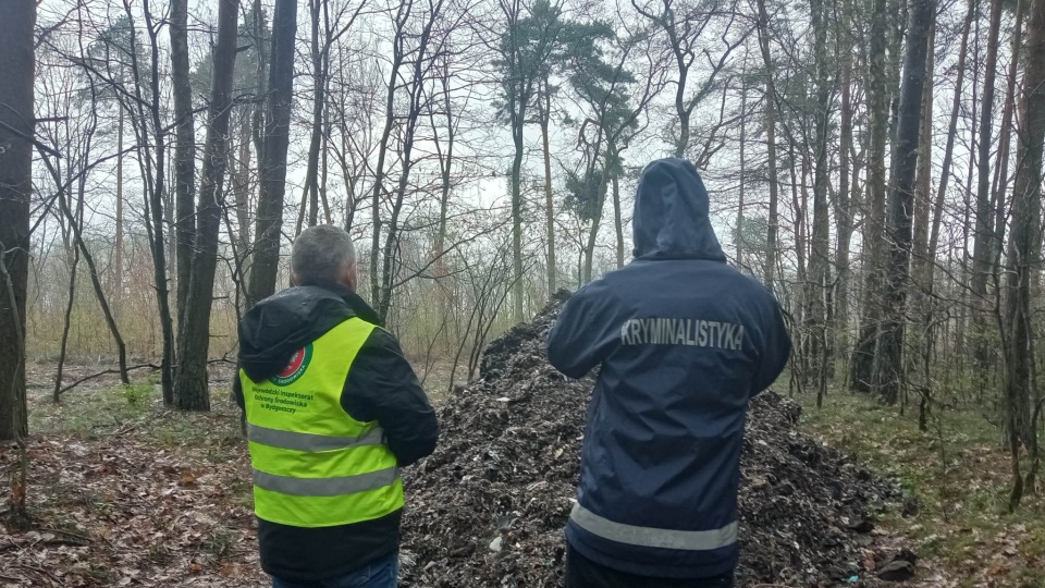 W lesie pod Aleksandrowem Kujawskim nieznany sprawca porzucił 22 tony śmieci. Sprawcy zanieczyszczenia natury szuka teraz policja/fot. WIOS Bydgoszcz