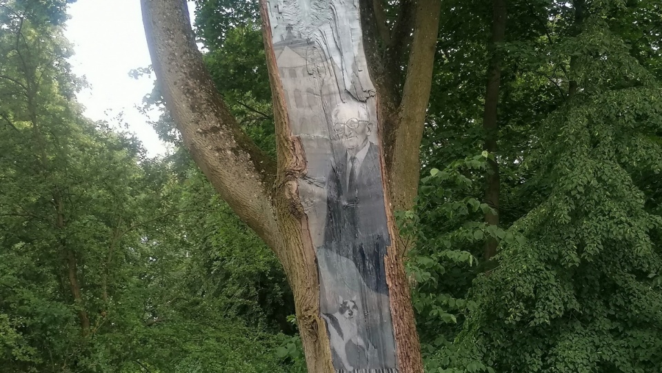 W okolicach Pałacu Starego pojawiła się piękna praca na drzewie, dedykowana wieloletniemu dyrektorowi Filharmonii Pomorskiej Andrzejowi Szwalbemu/fot. mg