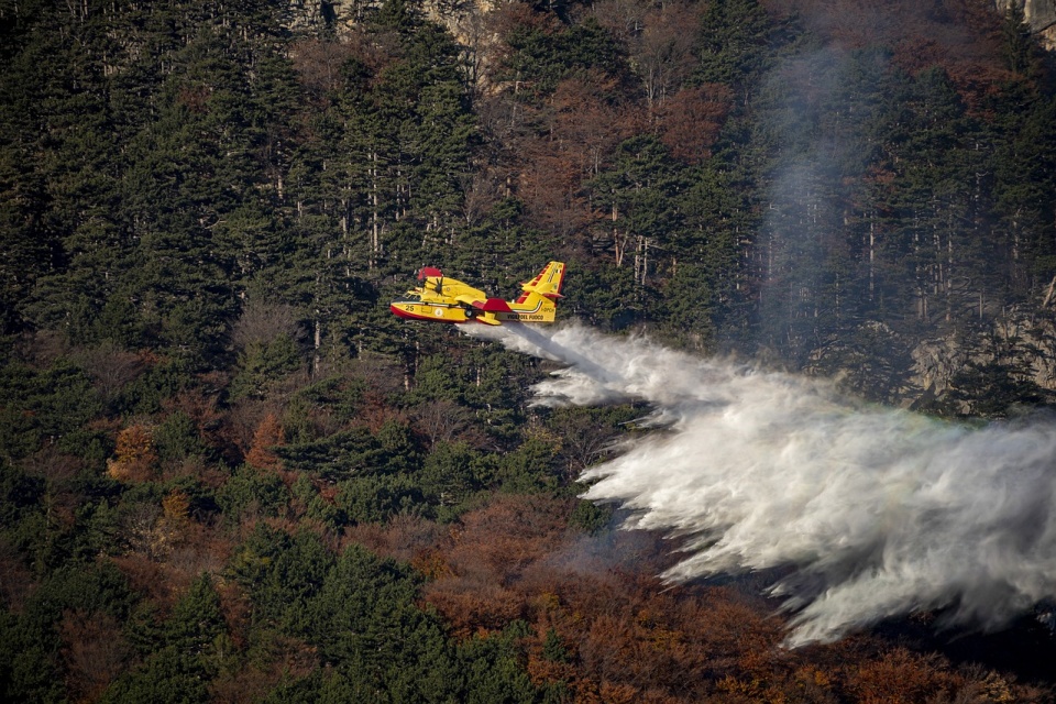 W bieżącym roku w Kanadzie w ok. 5,5 tys. pożarów spłonęło ponad 13,4 mln hektarów lasów/fot. ilustracyjna, Pixabay