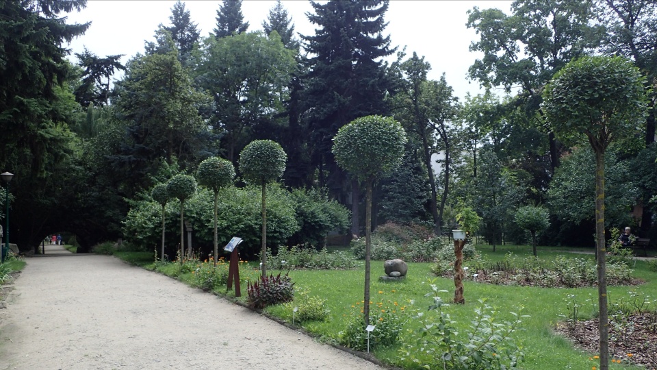 Ogród Botaniczny UKW Bydgoszcz/fot. Wikipedia/By Krzysztof Ziarnek, Kenraiz - Own work, CC BY-SA 4.0, https://commons.wikimedia.org/w/index.php?curid=84044716