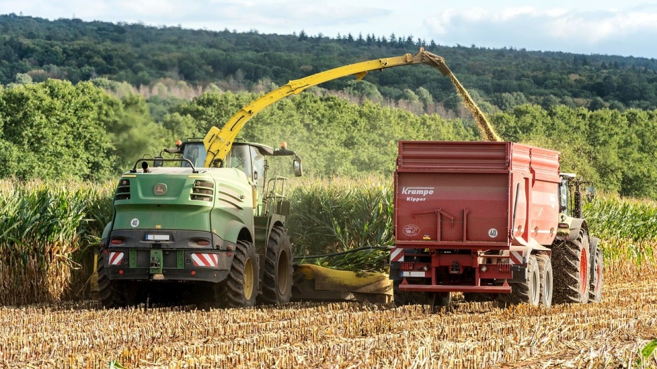 W uzasadnieniu rozporządzenia wskazano, że przywrócenie możliwości lokowania ukraińskiego zboża w krajach przygranicznych nastąpiłoby w trakcie żniw kukurydzy w Polsce, co spowodowałby „ponowne załamanie rynku zbóż w naszym kraju”/fot. ilustracyjna, Pixabay