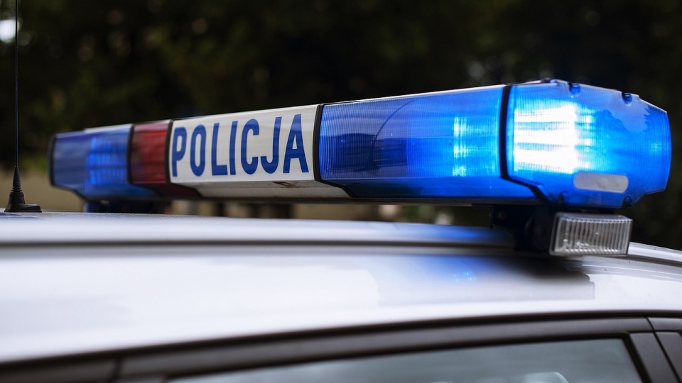 Policjanci przypominają też, że niezatrzymanie się do kontroli drogowej jest przestępstwem/fot. ilustracyjna, Pixabay