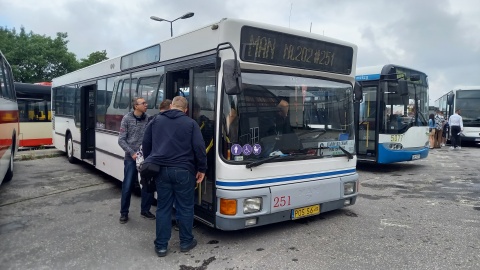 Zabytkowe autobusy pojawiły się na bydgoskich ulicach i rozwożą pasażerów. To wszystko z okazji zlotu historycznych pojazdów/fot: Tatiana Adonis