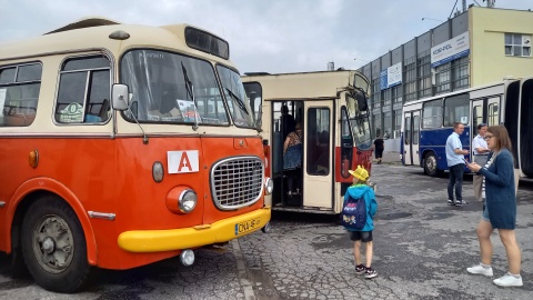 Zabytkowe autobusy pojawiły się na bydgoskich ulicach i rozwożą pasażerów. To wszystko z okazji zlotu historycznych pojazdów/fot: Tatiana Adonis