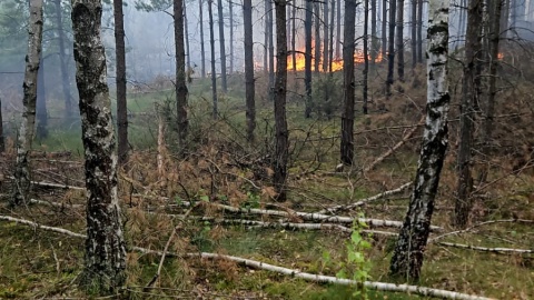 W akcji gaśniczej brało udział 13 zastępów straży pożarnej i trzy samoloty gaśnicze Lasów Państwowych/fot. Regionalna Dyrekcja Lasów Państwowych w Toruniu