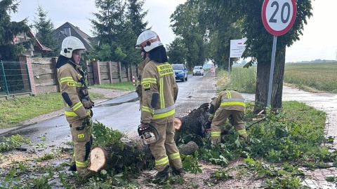 Szczególnie ciężkie chwile przeżyli mieszkańcy gminy Dobrcz, gdzie wiatr powalał drzewa i uszkadzał dachy domostw/fot. OSP Dobrcz