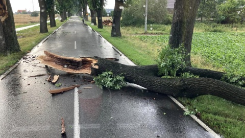Szczególnie ciężkie chwile przeżyli mieszkańcy gminy Dobrcz, gdzie wiatr powalał drzewa i uszkadzał dachy domostw/fot. OSP Dobrcz