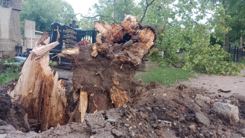 Cmentarz św. Jerzego w Toruniu/fot. Michał Zaręba