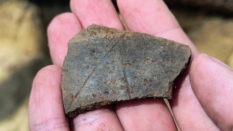 W Starej Rzece odnaleziono potężny kurhan. Obiekt może liczyć prawie 2 tysiące lat/fot. nadesłane