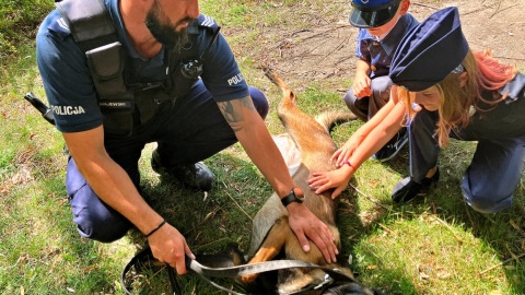 7-letni Lucjan, którego życie od samego początku jest związane z policją, odwiedził toruńską komendę/fot. KMP Toruń