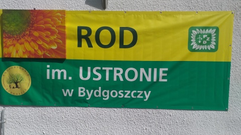 Audycja Polskiego Radia PiK „Raz na zielono". Nadajemy z ROD „Ustronie" w Myślęcinku/fot. Piotr Langner