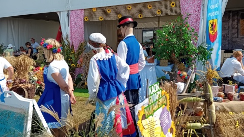 Dożynki Województwa Kujawsko-Pomorskiego w Grudziądzu/fot. Marcin Doliński