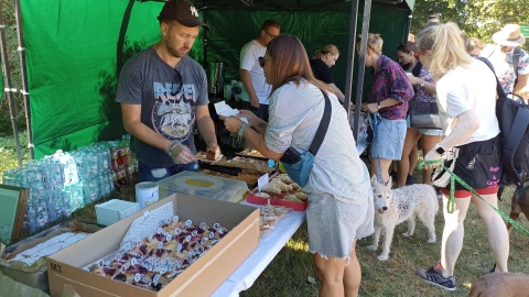 Na zakończenie wakacji torunianie po raz 11. mogli wesprzeć działalność miejscowego Schroniska dla Bezdomnych Zwierząt/fot: Monika Kaczyńska