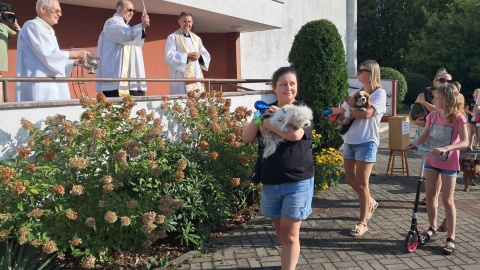 Najwierniejsi przyjaciele człowieka zostali pobłogosławieni przed Opatrzności Bożej w Bydgoszczy/fot: Damian Klich