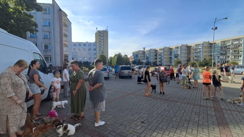 Najwierniejsi przyjaciele człowieka zostali pobłogosławieni przed Opatrzności Bożej w Bydgoszczy/fot: Damian Klich