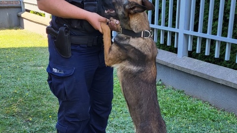 Tara i jej opiekunka - aspirant Iwona Czajkowska/fot. materiały policji