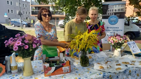 Bydgoszczanie i społecznicy sprzątali Kanał Bydgoski. Akcję zorganizowano w ramach Eko-Pikniku/fot. Tatiana Adonis