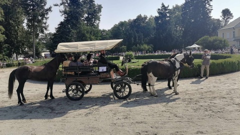 28. Konkurs Pojazdów Konnych odbywa się przy Pałacu w Lubostroniu w powiecie żnińskim/fot. Monika Siwak