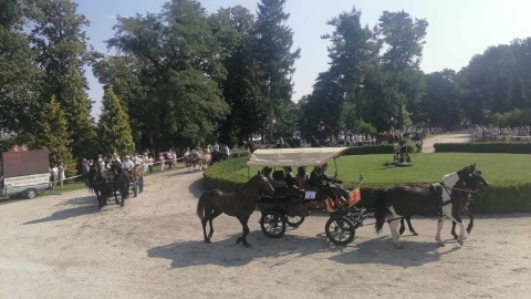 28. Konkurs Pojazdów Konnych odbywa się przy Pałacu w Lubostroniu w powiecie żnińskim/fot. Monika Siwak