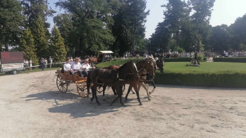 28. Konkurs Pojazdów Konnych odbywa się przy Pałacu w Lubostroniu w powiecie żnińskim/fot. Monika Siwak