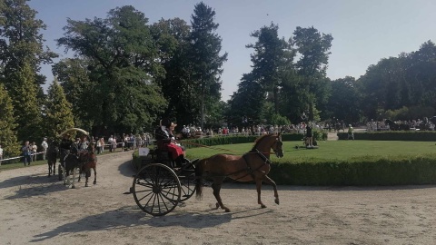 28. Konkurs Pojazdów Konnych odbywa się przy Pałacu w Lubostroniu w powiecie żnińskim/fot. Monika Siwak