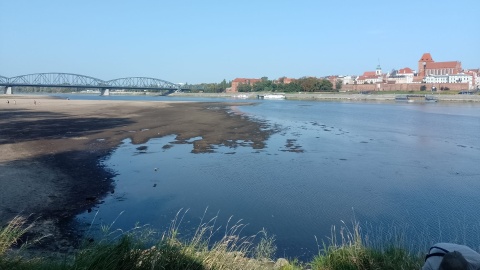 Wisła w Toruniu wyparowuje.../fot. Michał Zaręba