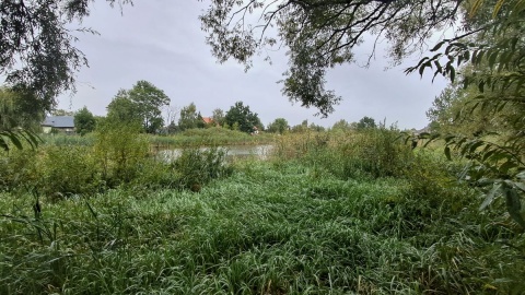 Zbiornik, który znajduje się w centrum Wtelna, od wielu lat zarastał, wypłycał się i wysychał/fot. Damian Klich