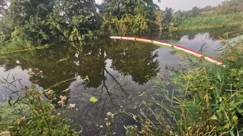 Strażacy oczyszczali Noteć po zanieczyszczeniu rzeki przez olej opałowy/fot. WIOS Bydgoszcz/wios.bydgoszcz.pl