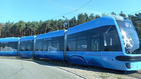 Król Władysław Jagiełło, założyciel dynastii Jagiellonów został patronem jednego z bydgoskich tramwajów/fot. Tatiana Adonis