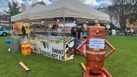 CzekoFest na bydgoskiej Wyspie Młyńskiej/fot. Izabela Langner