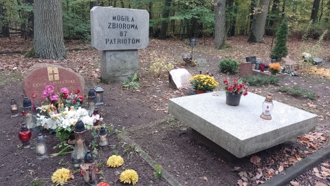 Na grobach pierwszych ofiar II wojny światowej zapłonęły dziś znicze, także na toruńskiej Barbarce, gdzie od października do grudnia 1939 r. Niemcy zamordowali co najmniej 600 mieszkańców - przedstawicieli inteligencji, elit politycznych i gospodarczych/fot. Michał Zaręba