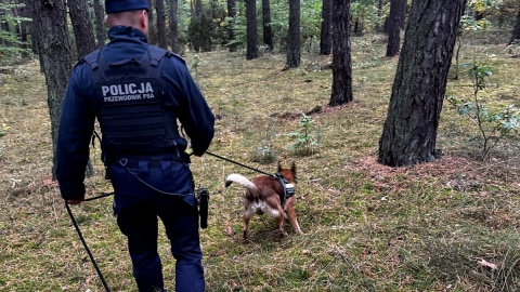 W sobotę (19 października), w Lipinkach w powiecie świeckim zabłądziła w lesie 50 - letnia turystka z Kwidzyna. Odnalazł ją pies policyjny/fot. KPP Świecie