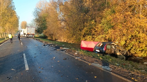 Kierujący citroenem poniósł śmierć na miejscu/fot. KPP w Mogilnie