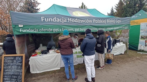 Festiwal Gęsiny w Przysieku/fot. Monika Kaczyńska