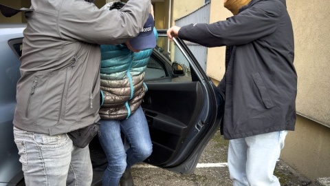 Zarzucane podejrzanym przestępstwa zagrożone są karą pozbawienia wolności od 6 miesięcy do 8 lat/fot. KWP w Gdańsku