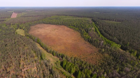 Torfowisko „Jezierzba"/fot. materiały RDOŚ