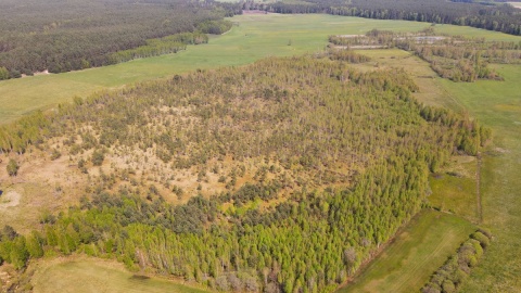 Torfowisko „Mikołajskie"/fot. materiały RDOŚ