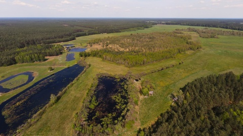 Torfowisko „Mikołajskie"/fot. materiały RDOŚ